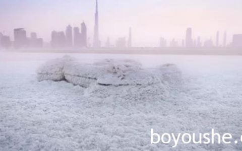 你知道阿联酋有记录以来的最低气温是多少么？