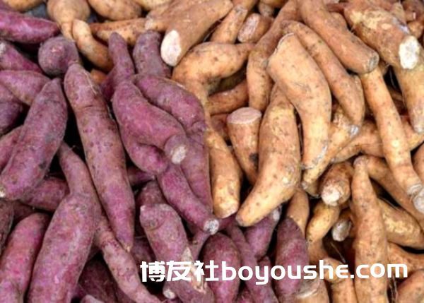 掸邦南部东枝县区出产的红薯价钱略微下降