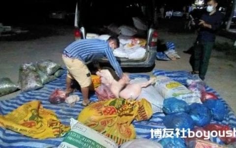 马省警方侦破大型猪肉走私案，竟发现其中1名嫌疑人确诊！