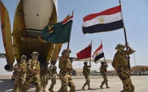 阿联酋和埃及的大型联合军演将持续到6月30日