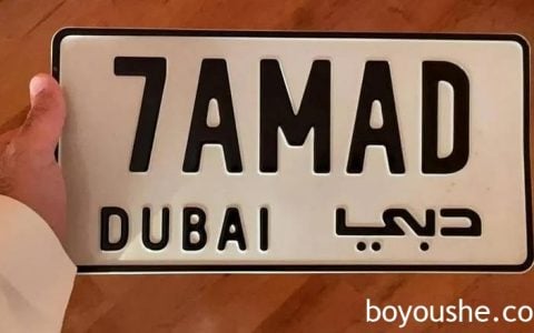 迪拜 | RTA否认发放带有车主姓名的车牌