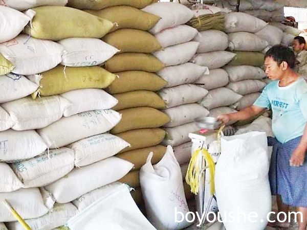 由于印度购买力强劲缅甸黑麦豆与木豆价钱涨到了5年来的最高峰
