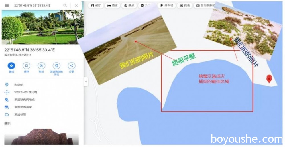 在阿联酋抓螃蟹会吃牢饭,在沙特抓螃蟹是维系物种平衡…实探沙特华人是怎么抓螃蟹的!