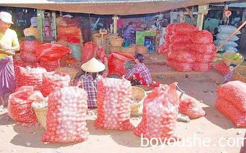 中国洋葱大量进入并未影响缅甸洋葱的销路