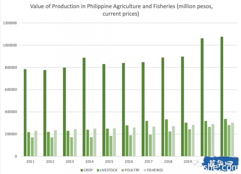 菲律宾蔬菜种植行业 -- 供不应求是趋势！