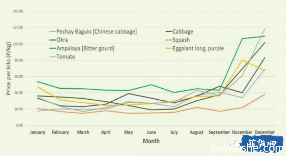 菲律宾蔬菜种植行业 -- 供不应求是趋势！