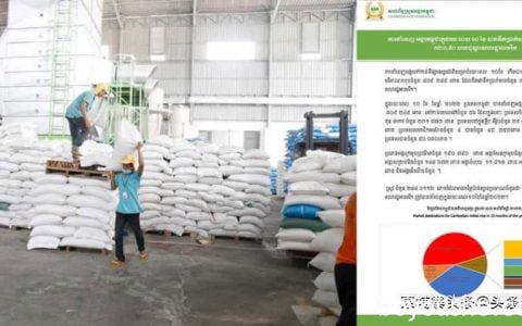 今年前10个月柬埔寨大米出口量超50万吨，增长10.67%！
