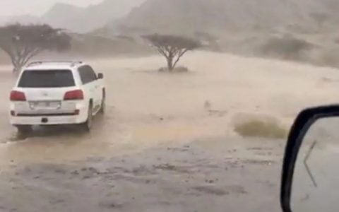 大雨袭击阿联酋部分地区，两位逗逼本地人竟在雨中跳舞