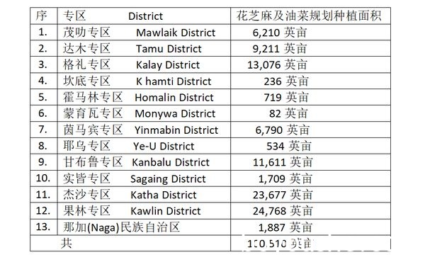 实皆省农民种植向日葵油料作物每英亩约盈利50万缅元