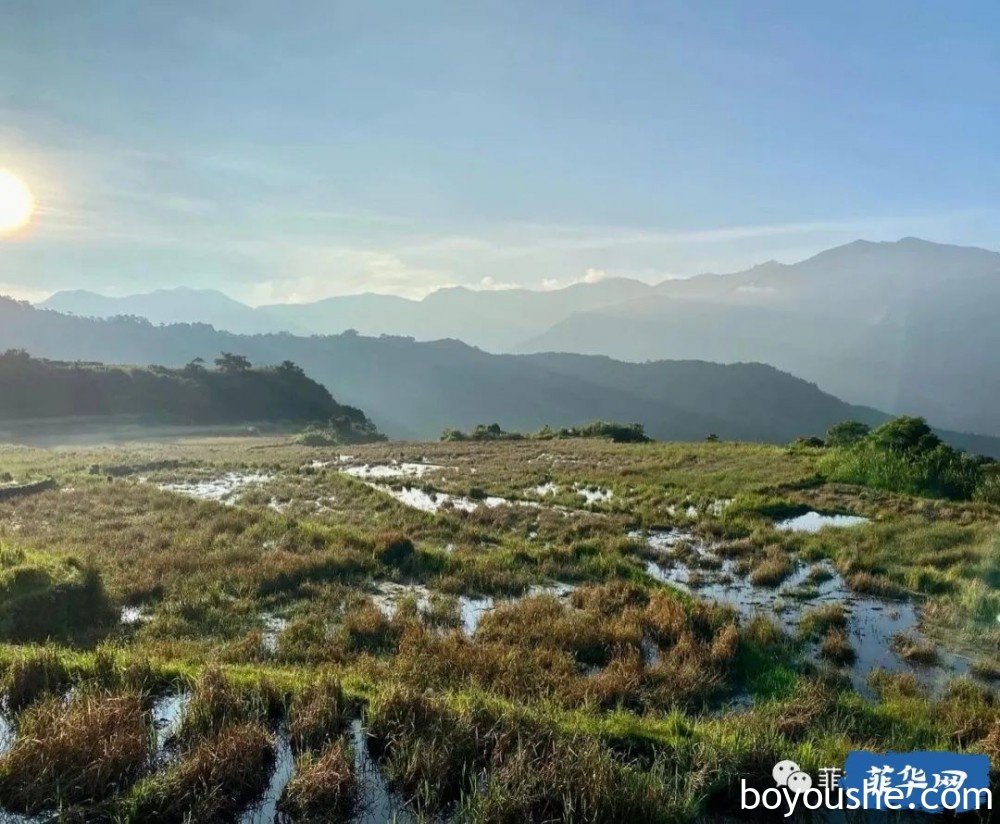 长期积弊，还有余地？小马可仕的农业改革、经济改革的真正弊病或许在这里。