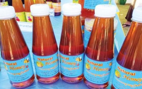 缅甸国内出产的向日葵蜂蜜每年向日本及西欧出口100多吨