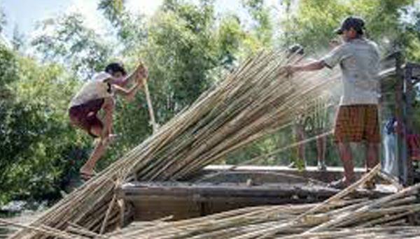 缅甸拟组建专业种植竹子和生产竹制品的村子