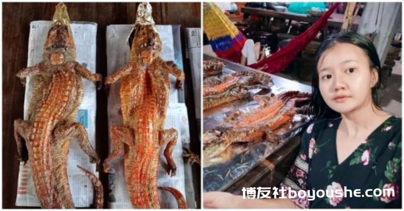 自家鳄鱼出口无望，柬埔寨小姐姐竟做起烤鳄鱼生意！