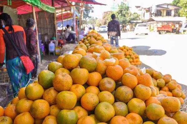 缅甸国内市场上橘子大量上市时期价钱略微下降