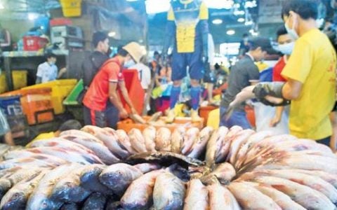 仰光省瑞勃道鱼市场每天交易出售的鱼量到达80万公斤