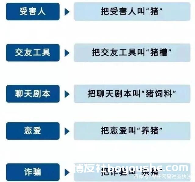嘉兴女子误陷“杀猪盘”,半个月55万打水漂