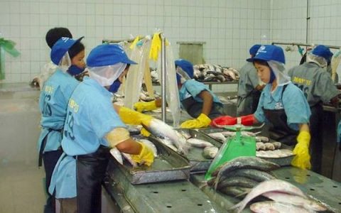缅甸国内有100多家鱼虾水产品加工工厂