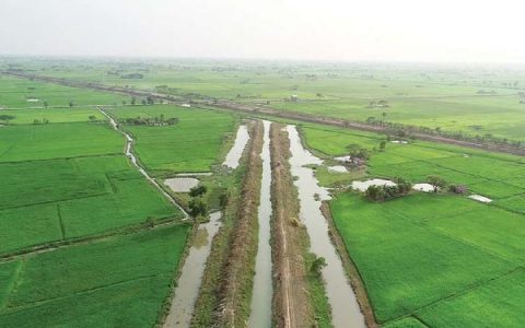 孟邦榜县区将种植15,000英亩夏季稻